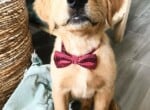 Charlie7